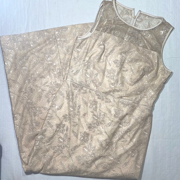 Lauren Ralph Lauren Embroidered Sequins Sleeveless Champagne MaXi Dress NWT 12 - Picture 4 of 15